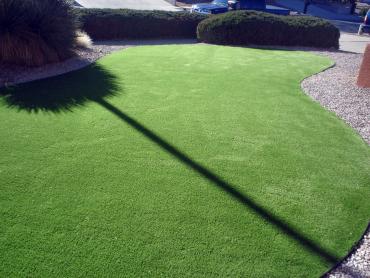 Artificial Grass Photos: Fake Pet Turf Highgrove California Back and Front Yard